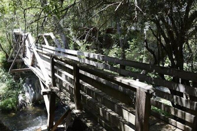 Self-Guided Calaveras Scavenger Hunt: UnFROGettable Angels Camp - What to Expect from the Self-Guided Scavenger Hunt