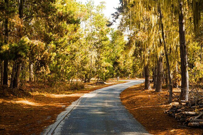 Self Guided Driving Audio Tour of 17 Mile Drive Monterey - Why We Like This Tour: A Practical Look