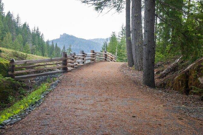 Self Guided Driving Audio Tour of Mount Rainier National Park - Final Thoughts: Who Will Love This Tour?