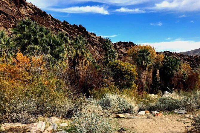 Self Guided Driving Audio Tour of Palm Springs - The Sum Up