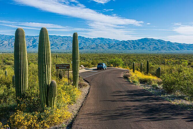 Self Guided Driving Audio Tour of Saguaro National Park - FAQ