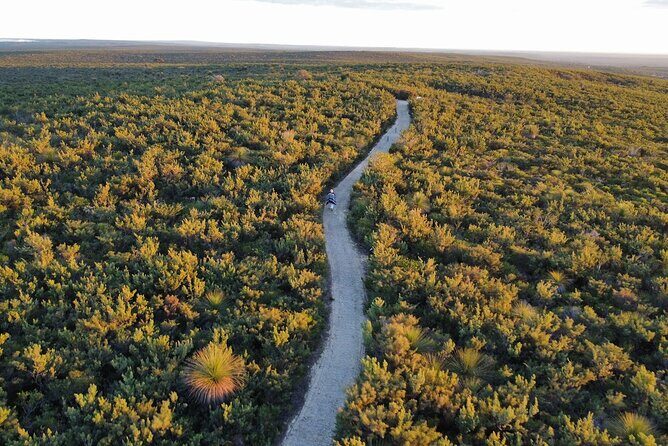 Self Guided Driving Tour in Perth to Pinnacles Turquoise Coast - Final Thoughts: Is This Tour Worth It?