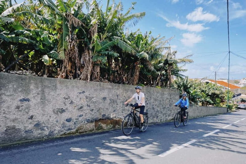 Self-Guided E-Bike Road Tour - Funchal to Câmara de Lobos - The Sum Up