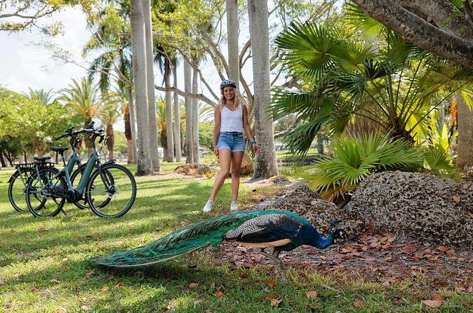 Self Guided E-Bike Tour Key Biscayne Miami's Island Paradise - Who Will Love This Tour?