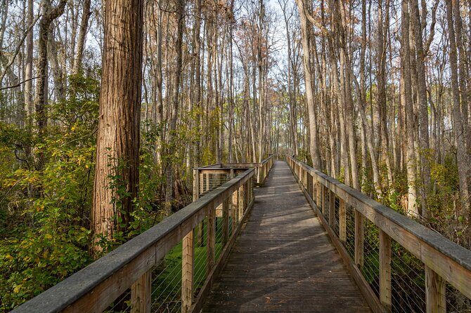Self Guided E-Bike Tour of Panama City Beach - What’s Included and What’s Not?