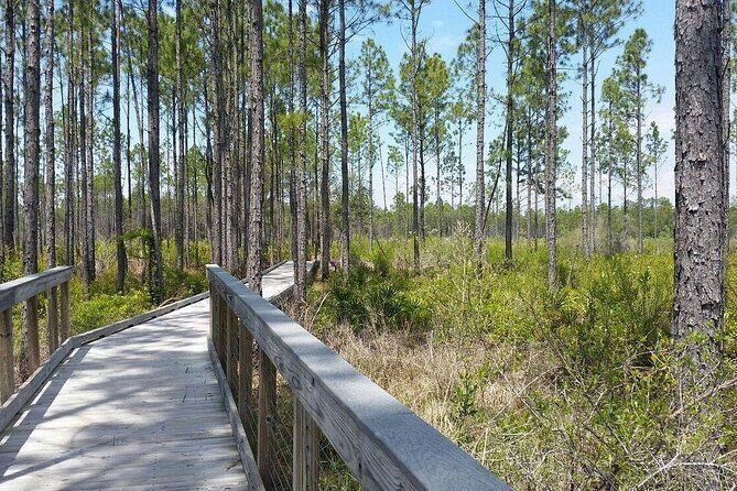 Self Guided E-Bike Tour of Panama City Beach - How the Experience Plays Out: Real Insights from Reviewers
