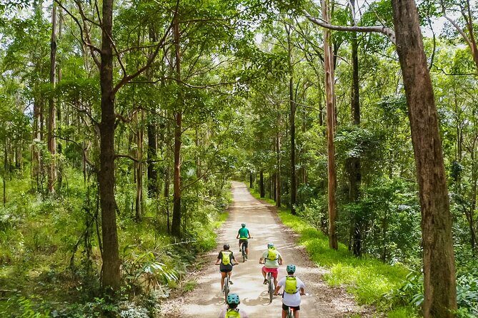 Self Guided E Bike Tour - Unicorn Falls, Rainforest & Rail Trail - A Guide to the Self-Guided E Bike Tour - Unicorn Falls, Rainforest & Rail Trail