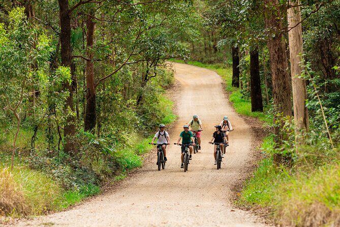 Self Guided E Bike Tour - Unicorn Falls, Rainforest & Rail Trail - Authentic Feedback from Participants