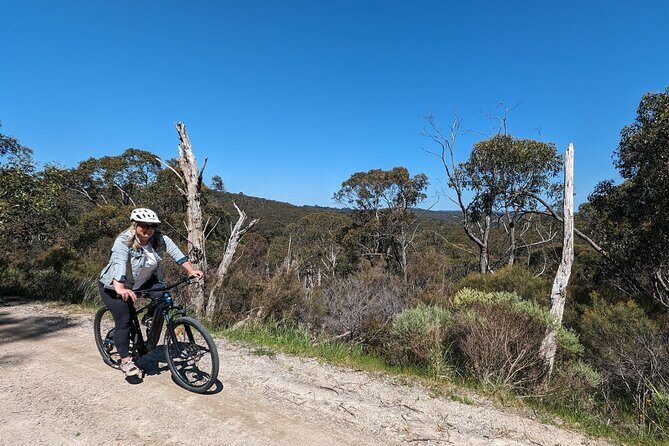 Self Guided Ebike Winery Tour in the Adelaide Hills - An In-Depth Look at What to Expect