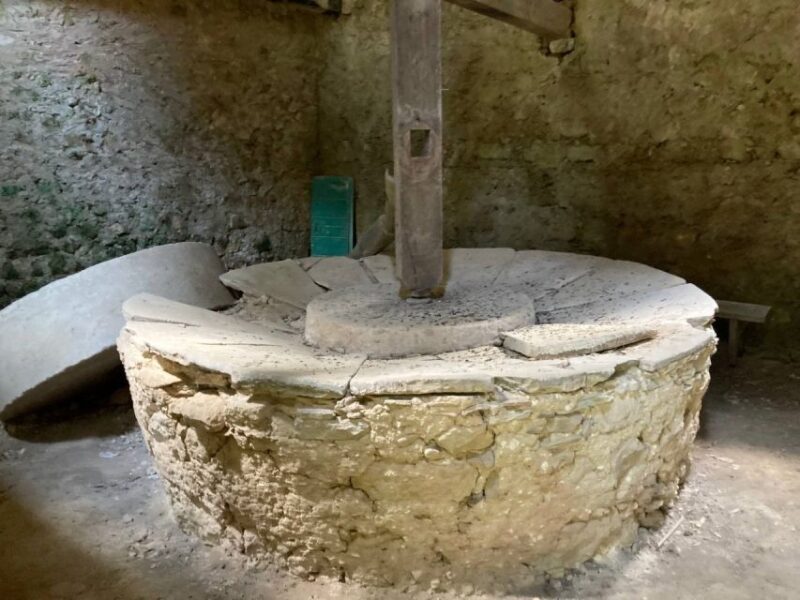 Self-guided Electric Fat Bike Tours and Rentals - Why Choose an Electric Fat Bike Tour in Corfu?