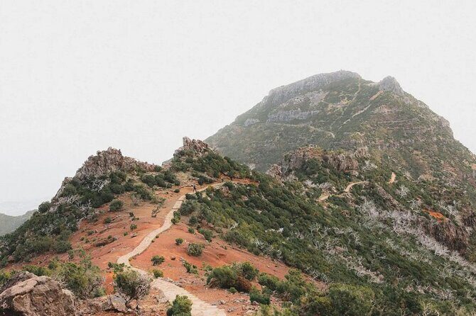 Self-Guided Hike to Pico do Areeiro, with transfers. - Transportation and Group Size