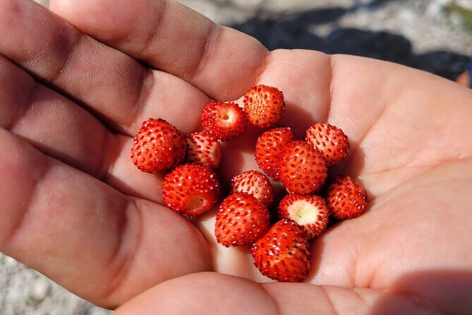 Self-Guided Hiking Tour: Theth, Valbona & Koman Lake in 3 Days - FAQs