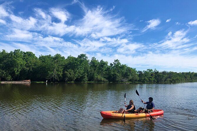 Self Guided Kayak Bayou Swamp Tour - Discovering the Bayou Bienvenue: What to Expect