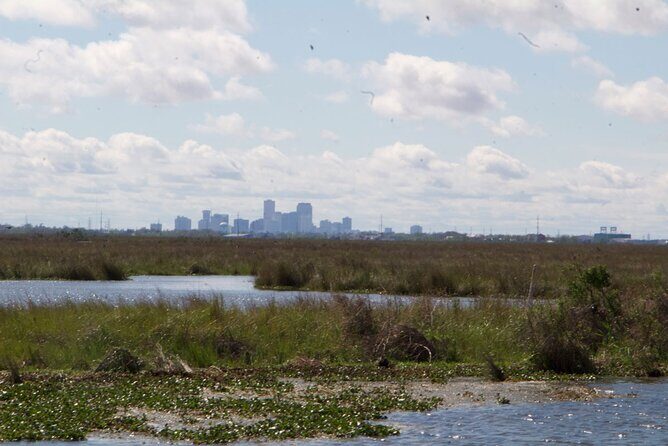 Self Guided Kayak Bayou Swamp Tour - A Closer Look at the Itinerary
