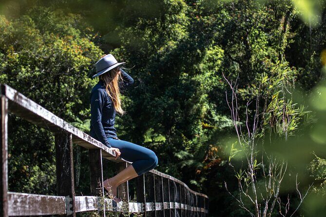 Self-Guided Milford Track Day Walk - Milford Sound - Analyzing the Value