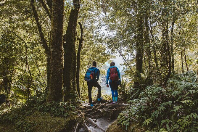 Self-Guided Milford Track Day Walk - Milford Sound - The Sum Up