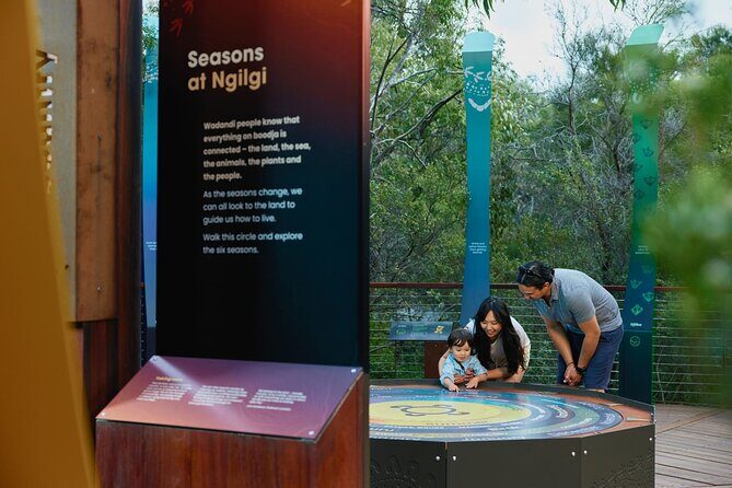 Self-Guided Ngilgi Cave Ancient Lands Experience - Introduction to the Ngilgi Cave Experience