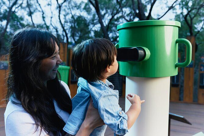 Self-Guided Ngilgi Cave Ancient Lands Experience - The Experiences Value