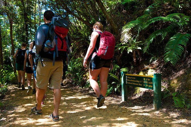 Self-Guided Queen Charlotte Track Walk from Picton - The Value of the Boat and Walk Combo