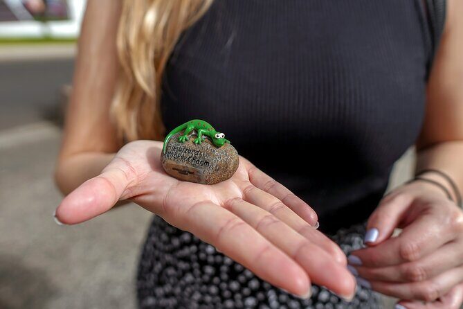 Self Guided Scavenger Hunt - Costa Adeje - A Closer Look at the Self-Guided Scavenger Hunt Experience