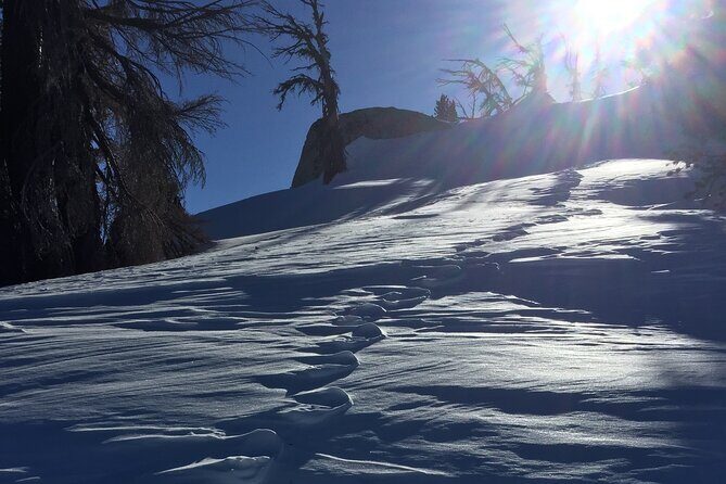 Self Guided Snowshoe Experience at Lake Tahoe - Final Thoughts