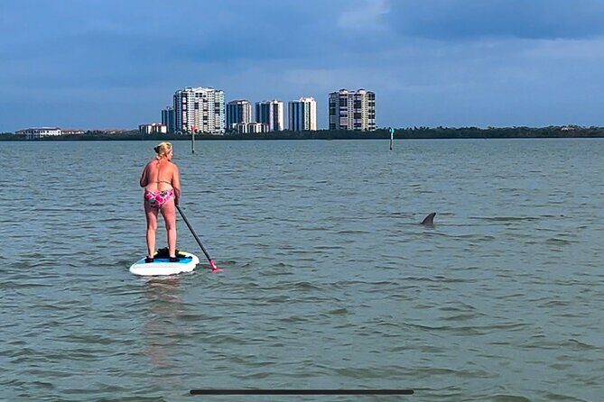 Self Guided Standup Paddle Board EcoTour -Bonita Springs - Key Points