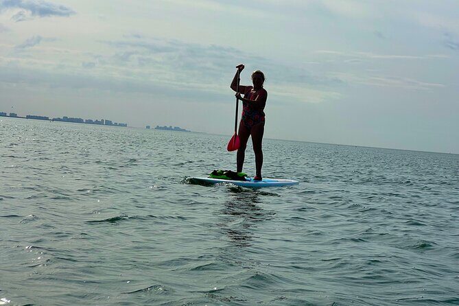 Self Guided Standup Paddle Board EcoTour -Bonita Springs - FAQ