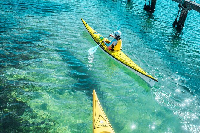 Self-Guided Sydney Middle Harbour Kayak 3 Hour Tour by Single Kayak - Why This Tour Offers Great Value