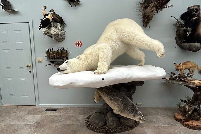 Self Guided Tour in Wildlife Gallery - Practical Tips for Visitors