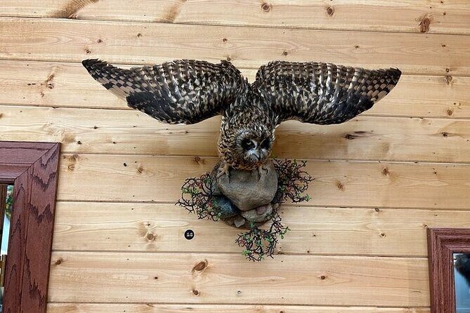 Self Guided Tour in Wildlife Gallery - FAQ