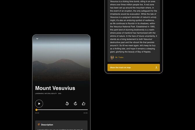 Self Guided Tours Naples With 100 Captivating Audio Stories - Who Should Consider This Tour?