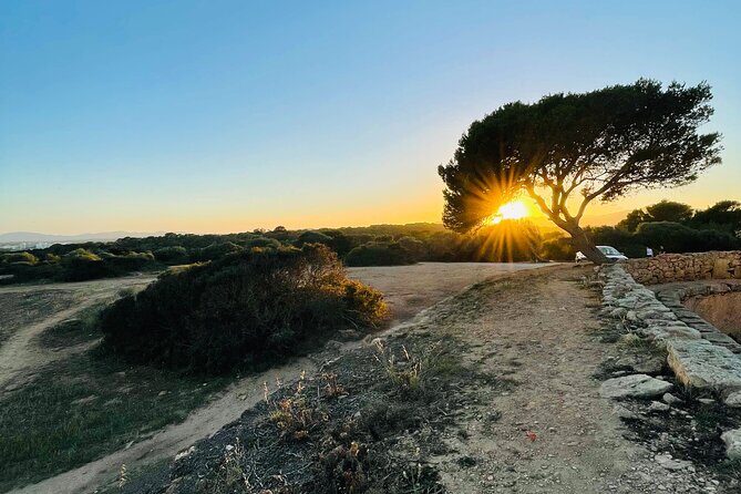 Self-guided Walking Tour and Outdoor Escape Game in Cala Millor, in German - Who Will Enjoy This Tour?