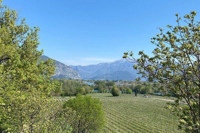 Self-guided Wine tour in Franciacorta, Full-Day Experience with Lunch - FAQ