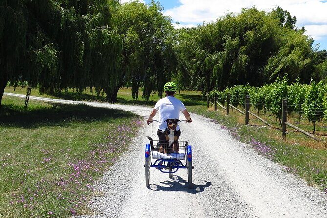 Self-Guided Wine Tours by Bike with Lorelle & Greg - Food & Lunch Options