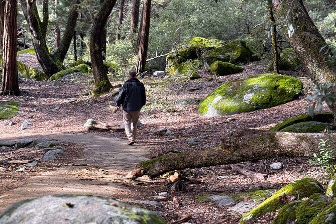 Self Guided Yosemite Walking Tour Explore with Expert Audio Guide - A Closer Look at the Experience
