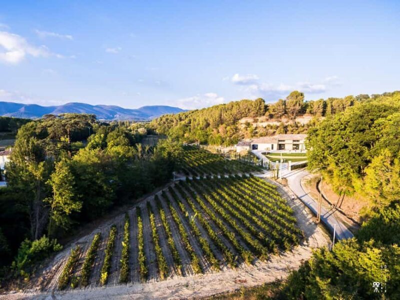 Self tour of the olive oil mill & olive oil tasting - Who Will Love This Tour?