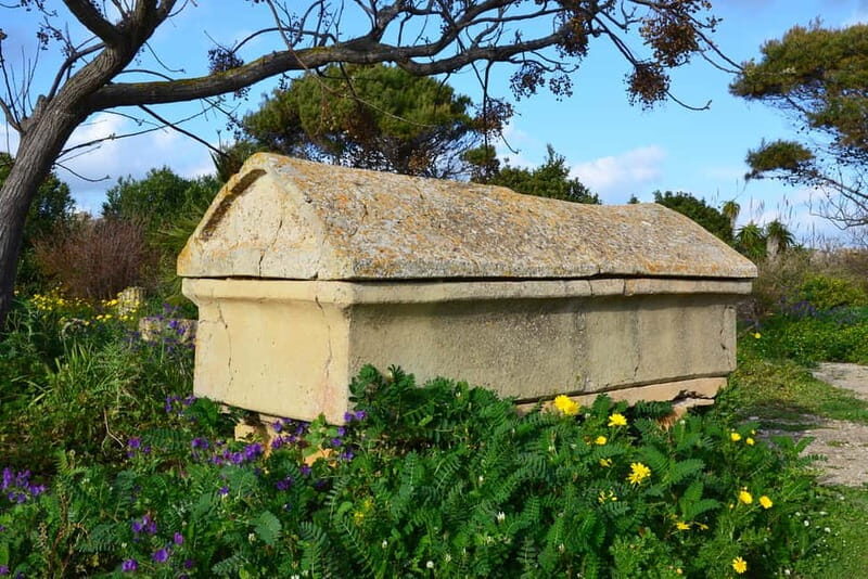 Selinunte: Archeological Park Entry Ticket & App Audioguide - Who Should Consider This Tour?