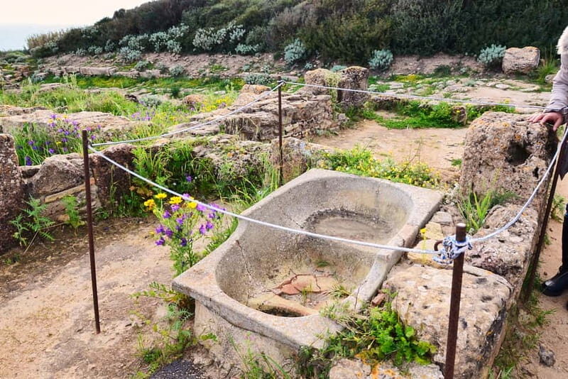 Selinunte: Archeological Park Entry Ticket & App Audioguide - The Sum Up