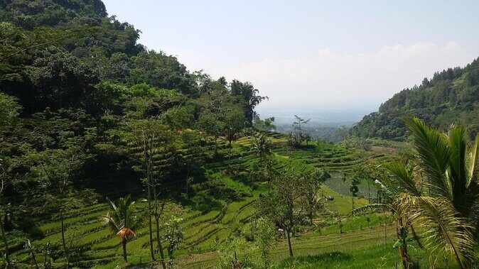 Selogriyo Temple and Trekking Java Rice Terraces, hidden waterfall -Nature Java - Exploring Yogyakarta’s Hidden Natural and Cultural Treasures — A Detailed Review