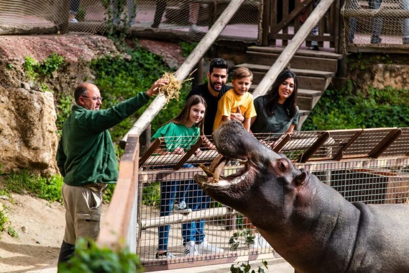 Selwo Aventura Admission Ticket with Skip-the-Line Access - A Closer Look at the Experience