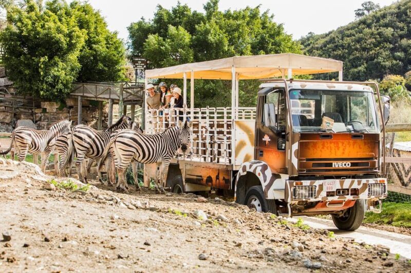 Selwo Aventura Admission Ticket with Skip-the-Line Access - Final Thoughts: Is It Worth It?