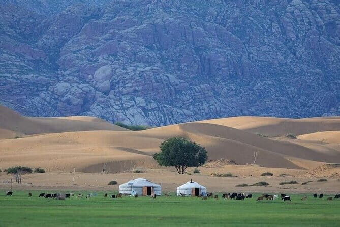 Semi-Gobi and Kharkhorum overnight private trip - Highlights That Make This Tour Stand Out