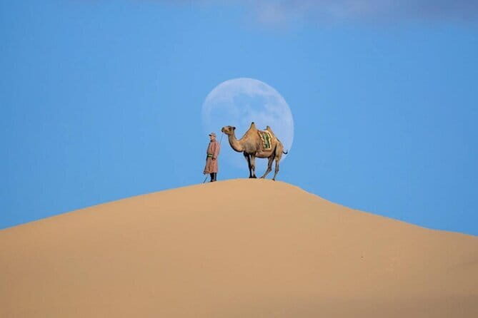 Semi Gobi and Khustai National Park 2 nights and 3 days trip - Key Points
