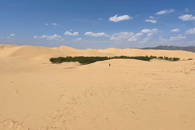 Semi Gobi and Khustai National Park 2 nights and 3 days trip - What Makes This Tour Stand Out?