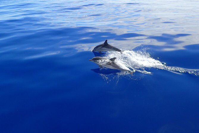 Semi-private Antiparos & Caves Blue Lagoon OR Rina Cave & Small Cyclades - The Highlights of the Naxos Sailing Tour