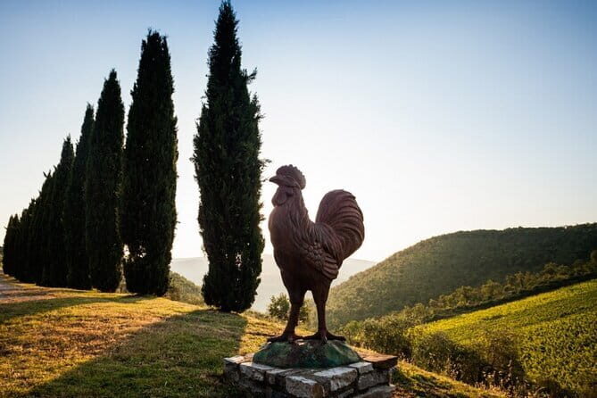 Semi-Private Chianti Wine Tour with Dinner in Tuscany Vineyard - FAQ