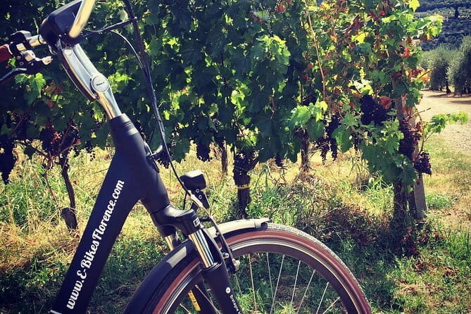 Semi-Private Chianti Wine Tour with Dinner in Tuscany Vineyard - Who Would Love This Tour?