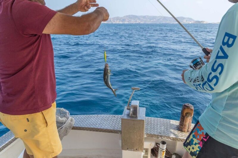 Semi Private Cruise  Afternoon Cruise Pollonia Polyaigos - Practical Details and Tips