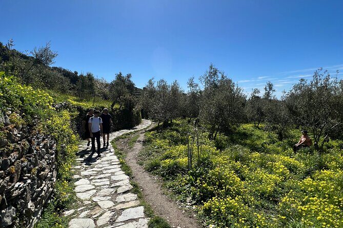Semi-Private Guided Hiking Cinque Terre Tour from Florence - Final Thoughts