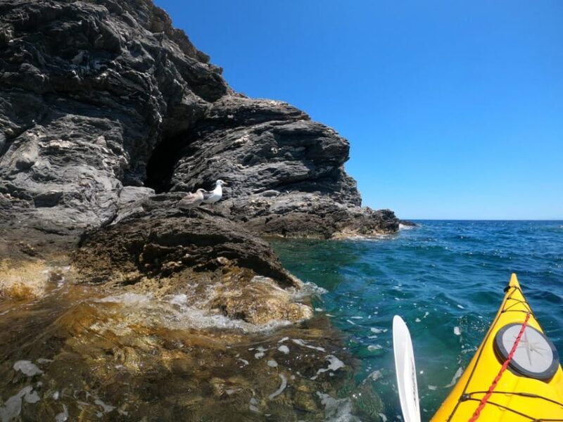 Semi-Private Half Day Kayaking Tours in Milos - What’s Included and What’s Not?